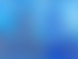 Happy Popplio Day! (2025)