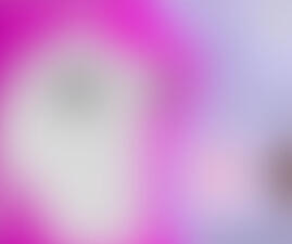 Nami the BBW Seal Reference Sheet