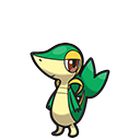 #19. Snivy